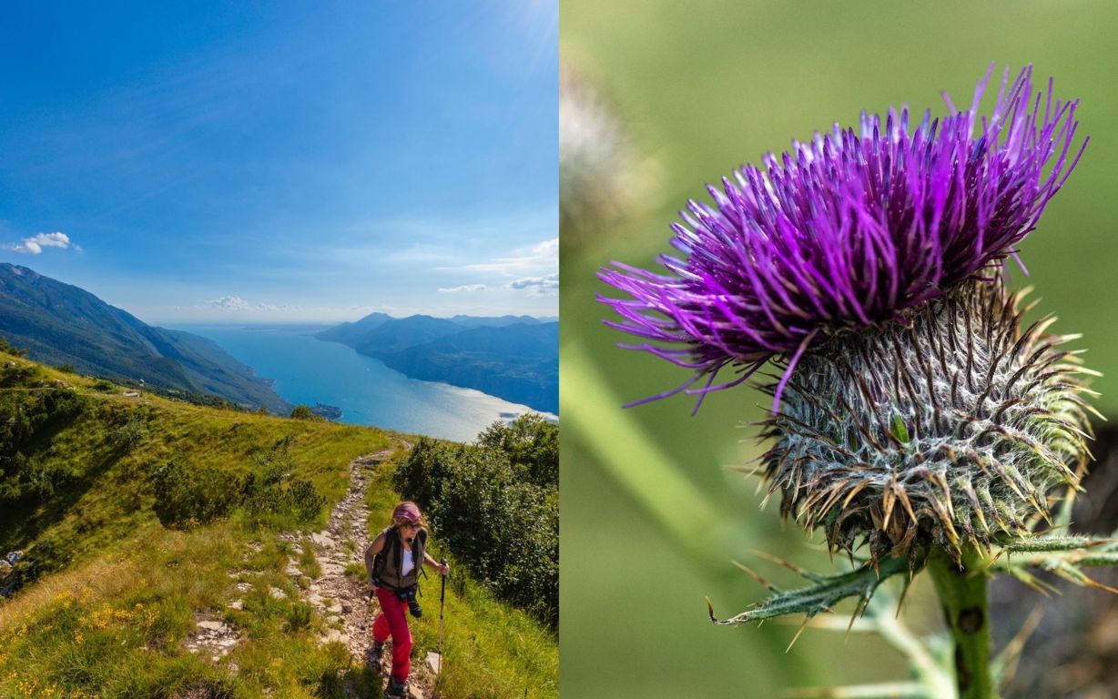 Monte Baldo