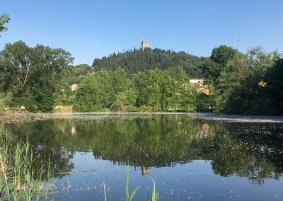 Meertje nabij B&B Carpe Diem